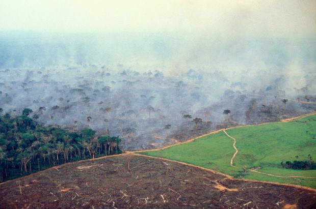 Thảm họa của thế kỉ 21: Rừng Amazon có thể tự dập lửa nhưng bị chính con người bức tử và sự trả thù của thiên nhiên sẽ vô cùng tàn khốc - Ảnh 2.
