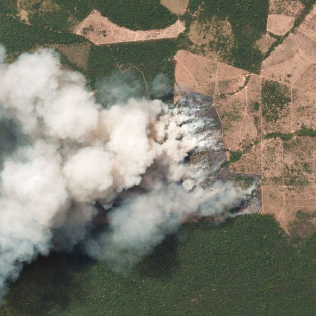 8 tháng 100.000 vụ cháy, thảm họa tầm cỡ địa cầu: Đây là tình hình cháy rừng đang diễn ra tại Amazon vào lúc này - Ảnh 8.
