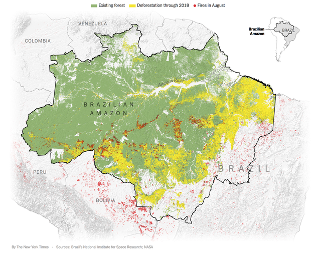 The New York Times: Phân tích ảnh vệ tinh đã chỉ ra chính xác thủ phạm gây cháy rừng thảm họa tại Amazon - Ảnh 1.