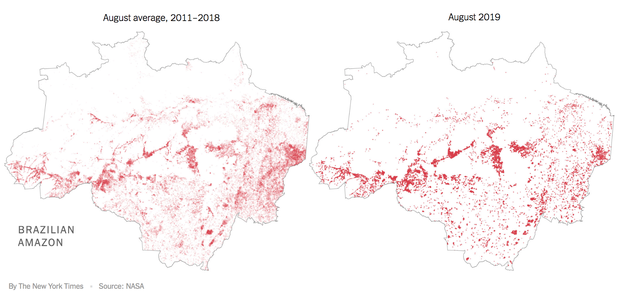 The New York Times: Phân tích ảnh vệ tinh đã chỉ ra chính xác thủ phạm gây cháy rừng thảm họa tại Amazon - Ảnh 3.