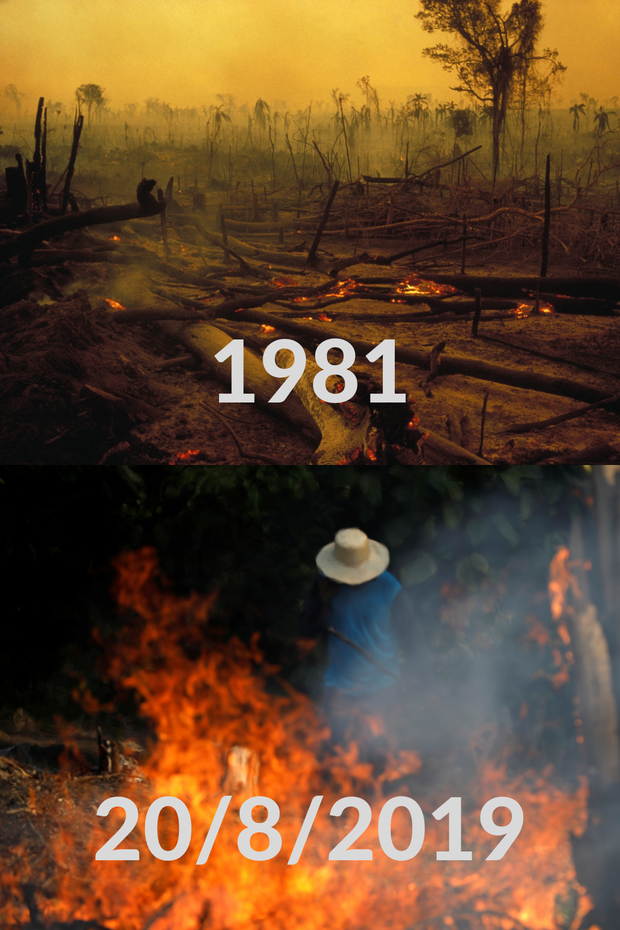 Loạt ảnh Amazon trước và sau đại nạn cháy rừng 2019: Lá phổi xanh ngày nào đã mang đầy bệnh tật do con người đầu độc - Ảnh 2.