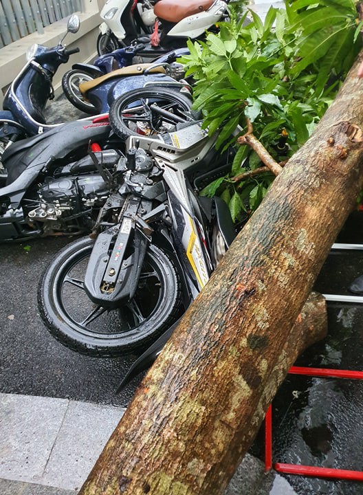  Mưa giông dữ dội từ cuối chiều ở Hà Nội, 1 nam thanh niên bị cây si đổ trúng tử vong - Ảnh 11.