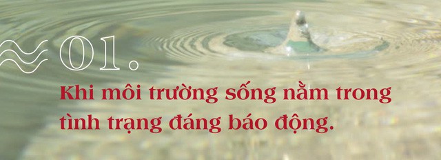 Thành phố bên sông và những giấc mơ êm đềm về một chốn an cư hạnh phúc - Ảnh 1.