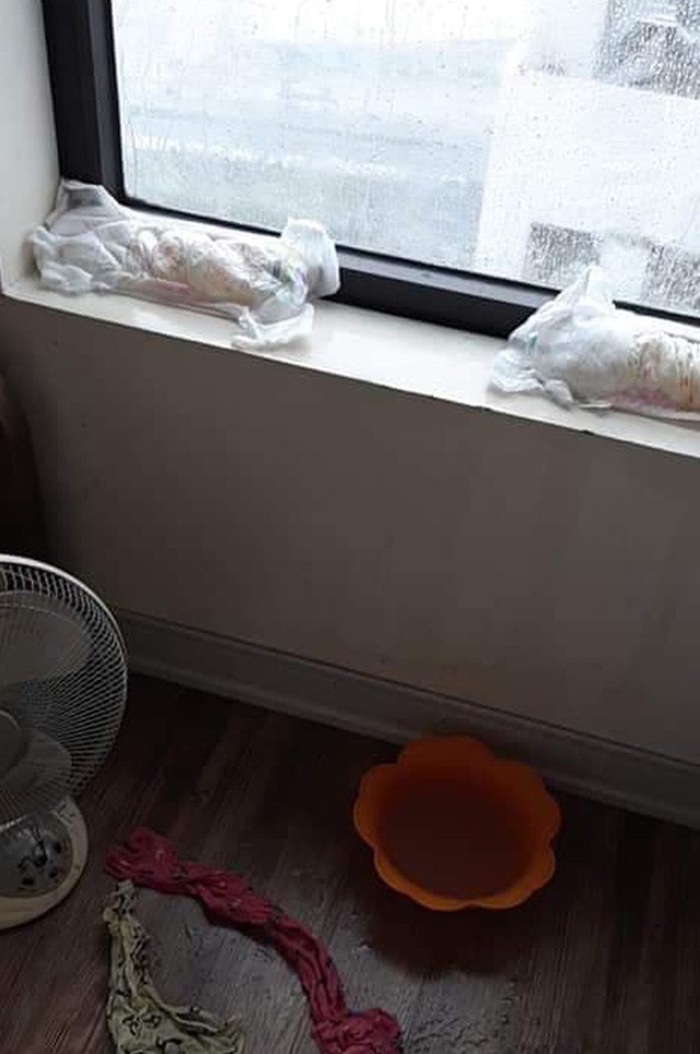 Chủ một căn hộ phải dùng bỉm của trẻ nhỏ để thấm nước.