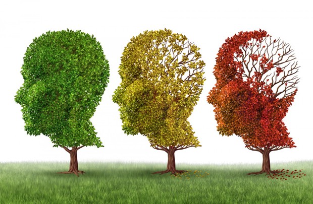 8 biện pháp được nghiên cứu bởi khoa học có thể ngăn ngừa bệnh Alzheimer và giúp bạn vượt qua chứng mất trí nhớ - Ảnh 1.