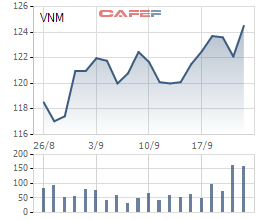 Khai mở thị trường Trung Quốc, cổ phiếu Vinamilk bất ngờ sáng nhất thị trường chứng khoán  - Ảnh 2.
