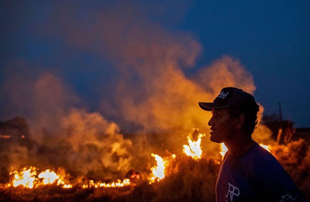 Rừng Amazon vẫn đang cháy với tốc độ tương đương 110 sân bóng mỗi giờ - Ảnh 2.