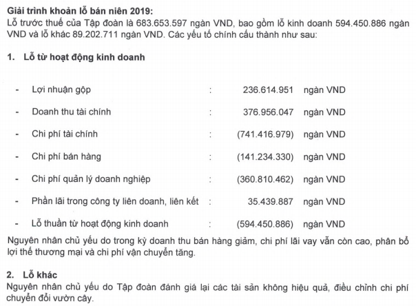 HAGL phản hồi việc có thể lỗ thêm 491 tỷ đồng: “Nghị định 20 có nhiều điểm bất hợp lý, chưa đúng bản chất chống chuyển giá” - Ảnh 1.