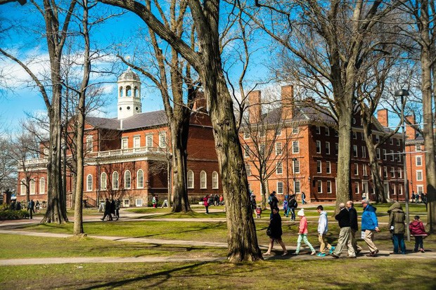 Lương của sinh viên Harvard mới ra trường đã lên đến 1,6 tỷ đồng nhưng chưa là gì so với các trường khác trong khối Ivy League - Ảnh 1.