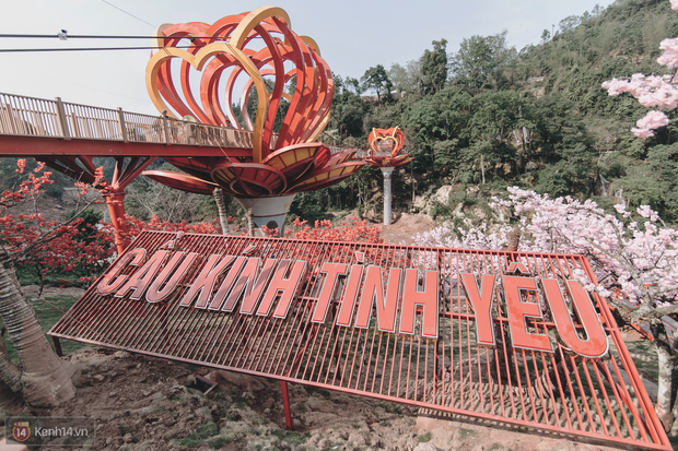 3 cây cầu lùm xùm nhất Việt Nam 2019: “Scandal đạo nhái” Cầu Vàng Đà Nẵng, sự cố chậm trễ cầu kính Sa Pa còn chưa gây sốc bằng cái tên cuối - Ảnh 13.