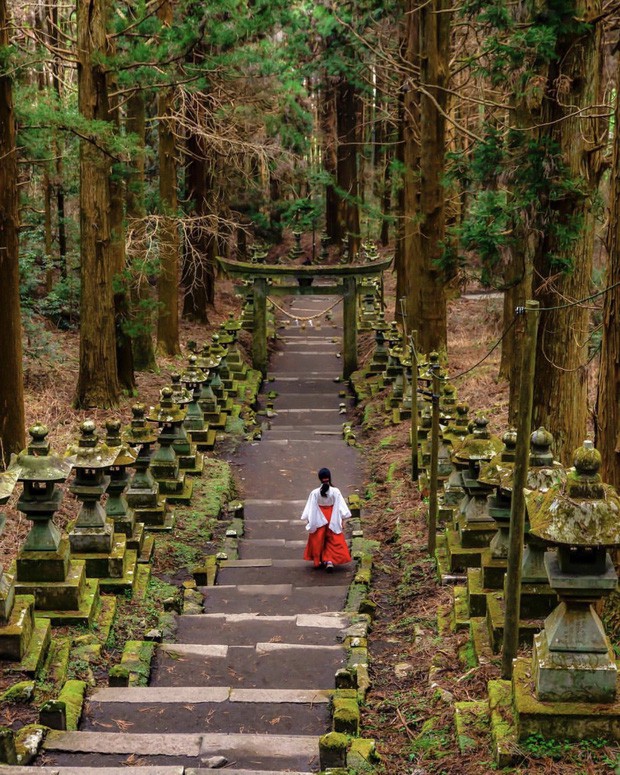 Loạt cổng Torii huyền thoại dọc khắp xứ Phù Tang, có nơi nối dài đến hơn... 10.000 cái - Ảnh 18.