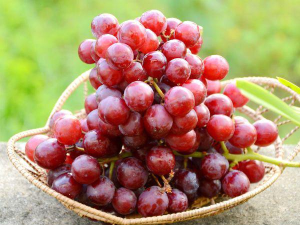 10 loại trái cây siêu tốt cho sức khỏe, chuyên gia khuyên hãy bổ sung thường xuyên trong năm mới - Ảnh 4.