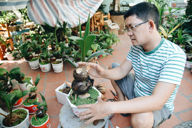 Dừa hình con chuột độc đáo ở Sài Gòn giá gần 1 triệu đồng, khách nườm nượp đặt hàng dịp Tết Canh Tý 2020 - Ảnh 1.
