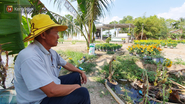 Thương lái bùng 3.000 chậu hoa vạn thọ của lão nông Sài Gòn vào 28 Tết, cộng đồng mạng chung tay mua sạch - Ảnh 10.