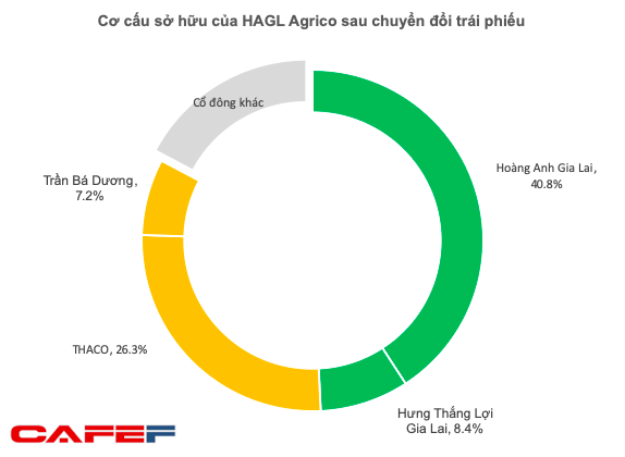 HAGL Agrico (HNG) báo lỗ ròng hơn 2.308 tỷ đồng do nguồn thu thấp và xử lý tài sản xấu - Ảnh 4.
