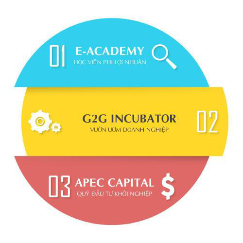 Sau bất động sản, Apec Group tiếp tục lấn sân sang lĩnh vực Giáo dục - Ảnh 1.