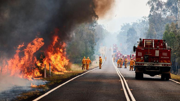 Gần NỬA TỈ sinh vật bị thiêu rụi, 1/3 số gấu koala chết cháy: Úc đang trải qua trận cháy rừng đại thảm họa thực sự mà chưa nhìn thấy lối thoát - Ảnh 14.