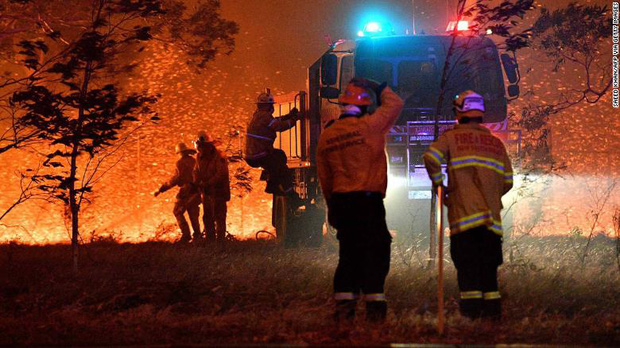 Gần NỬA TỈ sinh vật bị thiêu rụi, 1/3 số gấu koala chết cháy: Úc đang trải qua trận cháy rừng đại thảm họa thực sự mà chưa nhìn thấy lối thoát - Ảnh 15.