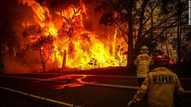 Thương quá tự nhiên ơi: Hình ảnh xót xa cho thấy đại thảm họa cháy rừng tại Úc đang khiến các loài vật bị giày vò kinh khủng đến mức nào - Ảnh 18.