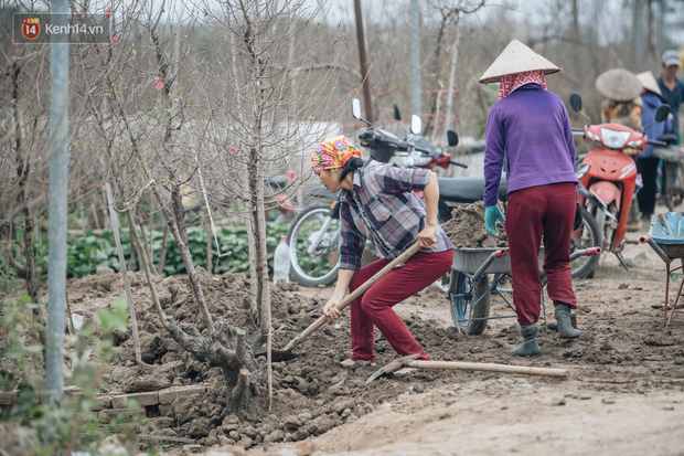 Đào Nhật Tân tấp nập xuống phố, người dân thích thú mua thưởng thức không khí Tết sớm - Ảnh 12.