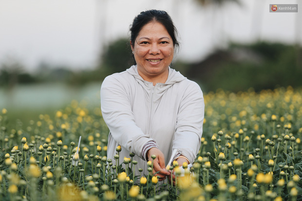 Cánh đồng hoa lớn nhất Sài Gòn khoe sắc rực rỡ, người nông dân cười tươi chuẩn bị xuống chợ hoa Xuân - Ảnh 9.