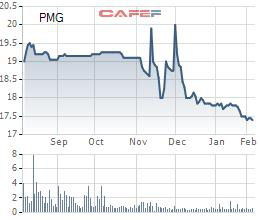 Giá gas giảm, Petro miền Trung (PMG) báo lợi nhuận năm 2019 sụt giảm 23% cùng kỳ - Ảnh 2.