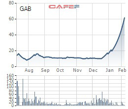 Phi từ 10.000 lên 60.000 đồng trong chưa đầy 2 tháng, GAB quyết định chào bán cổ phiếu tăng vốn gấp 5 lần - Ảnh 1.