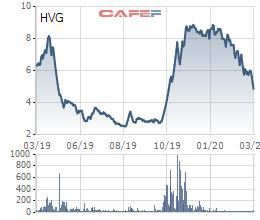 Thị giá giảm gần 1 nửa, một TV. HĐQT của Thủy sản Hùng Vương (HVG) vẫn đăng ký thoái sạch vốn - Ảnh 1.