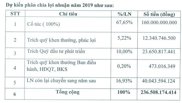 Lãi lớn, KCN Nam Tân Uyên (NTC) dự kiến chia cổ tức năm 2019 tỷ lệ 100% - Ảnh 1.