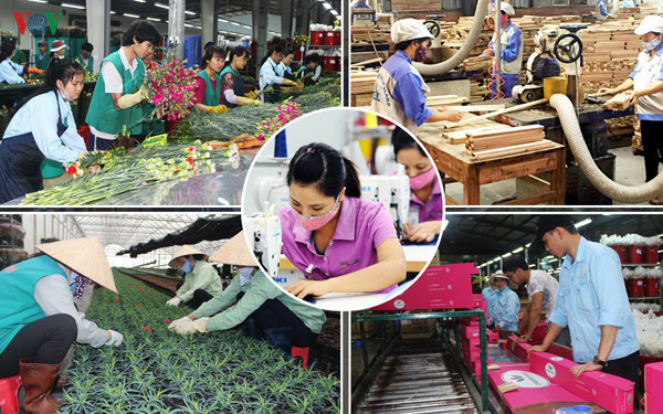 Đà tăng trưởng mạnh của Việt Nam sẽ quay trở lại trong năm 2021 - Ảnh 1.