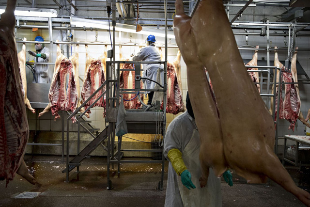 Hàng trăm công nhân sản xuất thịt tại Mỹ dương tính với virus corona - Ảnh 1.