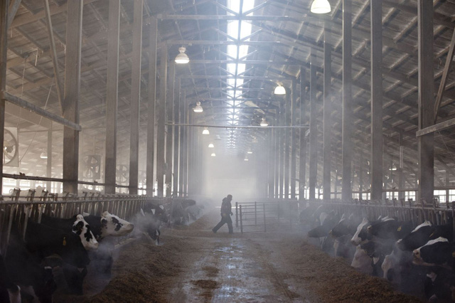 Hàng trăm công nhân sản xuất thịt tại Mỹ dương tính với virus corona - Ảnh 2.