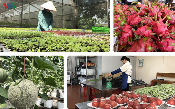 Thúc đẩy thương mại nông sản Việt – Trung trong bối cảnh dịch Covid-19 - Ảnh 1.