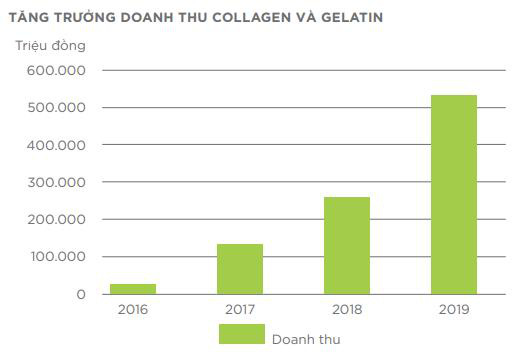 Vĩnh Hoàn (VHC): Lên 2 kịch bản lãi thấp và cao trong năm 2020 - Ảnh 1.