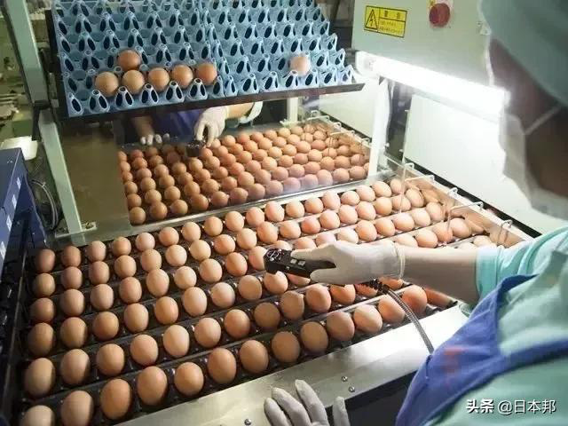 Hóa ra đây là lý do khiến món trứng tươi sống thường xuyên được người Nhật sử dụng trong các món ăn - Ảnh 6.