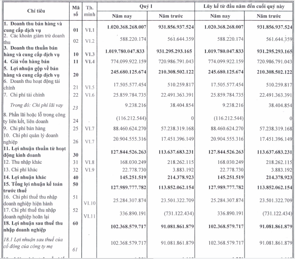 Nhựa Bình Minh (BMP) báo lãi 102 tỷ đồng quý 1, tăng hơn 12% so với cùng kỳ - Ảnh 1.