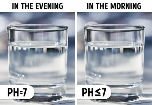 Tại sao không nên đặt cốc nước cạnh giường để sáng mai ngủ dậy uống cho tiện và đây là 5 lý do cực nguy hiểm! - Ảnh 2.