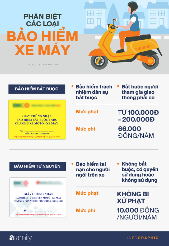 Infographic: Bảo hiểm xe máy 10 nghìn bán đầy đường có giúp được gì khi CSGT dừng xe kiểm tra? - Ảnh 2.