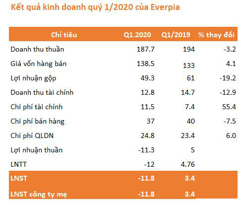 Quý 1, Everpia (EVE) lần đầu báo lỗ gần 12 tỷ đồng kể từ khi thành lập - Ảnh 1.