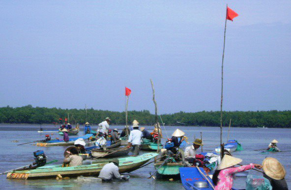 Cào nghêu giống trái phép ở bãi bồi Mũi Cà Mau - Ảnh 2.