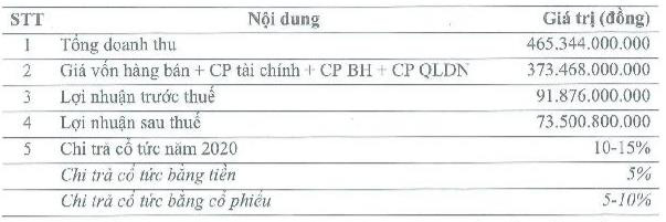 Đầu tư IDJ Việt Nam (IDJ): Năm 2020 đặt mục tiêu lãi 92 tỷ đồng cao gấp 10 lần 2019 - Ảnh 1.