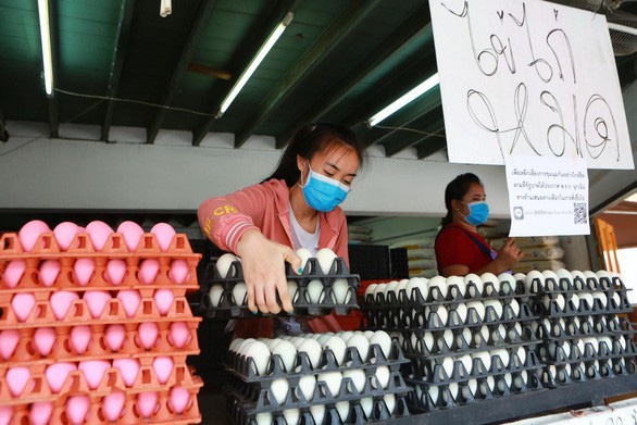 Thái Lan đẩy mạnh xuất khẩu trứng gà - Ảnh 1.