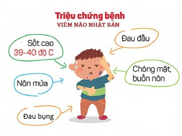 Bắt đầu vào mùa viêm não Nhật Bản, cha mẹ cần phân biệt triệu chứng sốt do viêm não Nhật Bản và bệnh lý khác để phòng bệnh cho con - Ảnh 2.