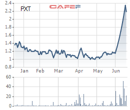 Cổ phiếu PXT giảm sàn sau 13 phiên tăng trần liên tiếp - Ảnh 1.