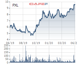 CEO của PVC Idico đăng ký mua 15 triệu cổ phiếu PXL - Ảnh 1.