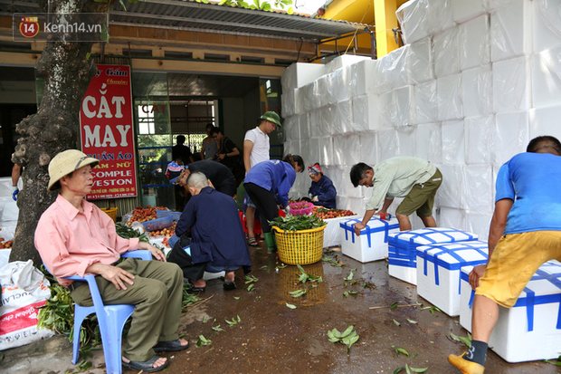 Mùa vải thiều Bắc Giang, kiếm bạc triệu mỗi ngày từ nghề “cửu vạn”: “Có những đợt tôi thức xuyên mấy ngày đêm bốc vác vải, cũng vì miếng cơm gia đình” - Ảnh 1.