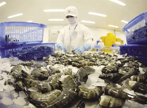 Trung Quốc ngừng bán tôm nhập khẩu của Ecuador do lo ngại SARS-CoV-2 - Ảnh 1.