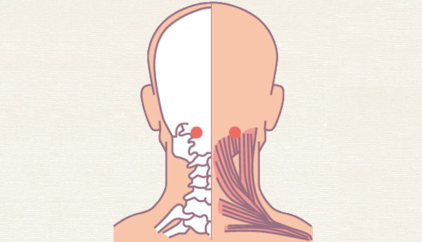 [Bấm huyệt mỗi ngày] Huyệt phong trì – cải thiện ngay những căn bệnh ở vùng đầu cổ - Ảnh 3.