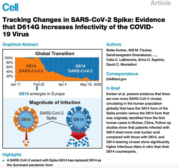 PGS.TS Huynh Wynn Tran: Chủng virus mới tại Việt Nam có thể là chủng D614G - hiện đang hoành hành ở châu Âu và Mỹ - Ảnh 3.