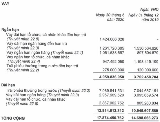 Hoàng Anh Gia Lai (HAGL): Doanh thu trái cây tăng mạnh song quý 2/2020 vẫn lỗ sau thuế 65 tỷ đồng - Ảnh 1.